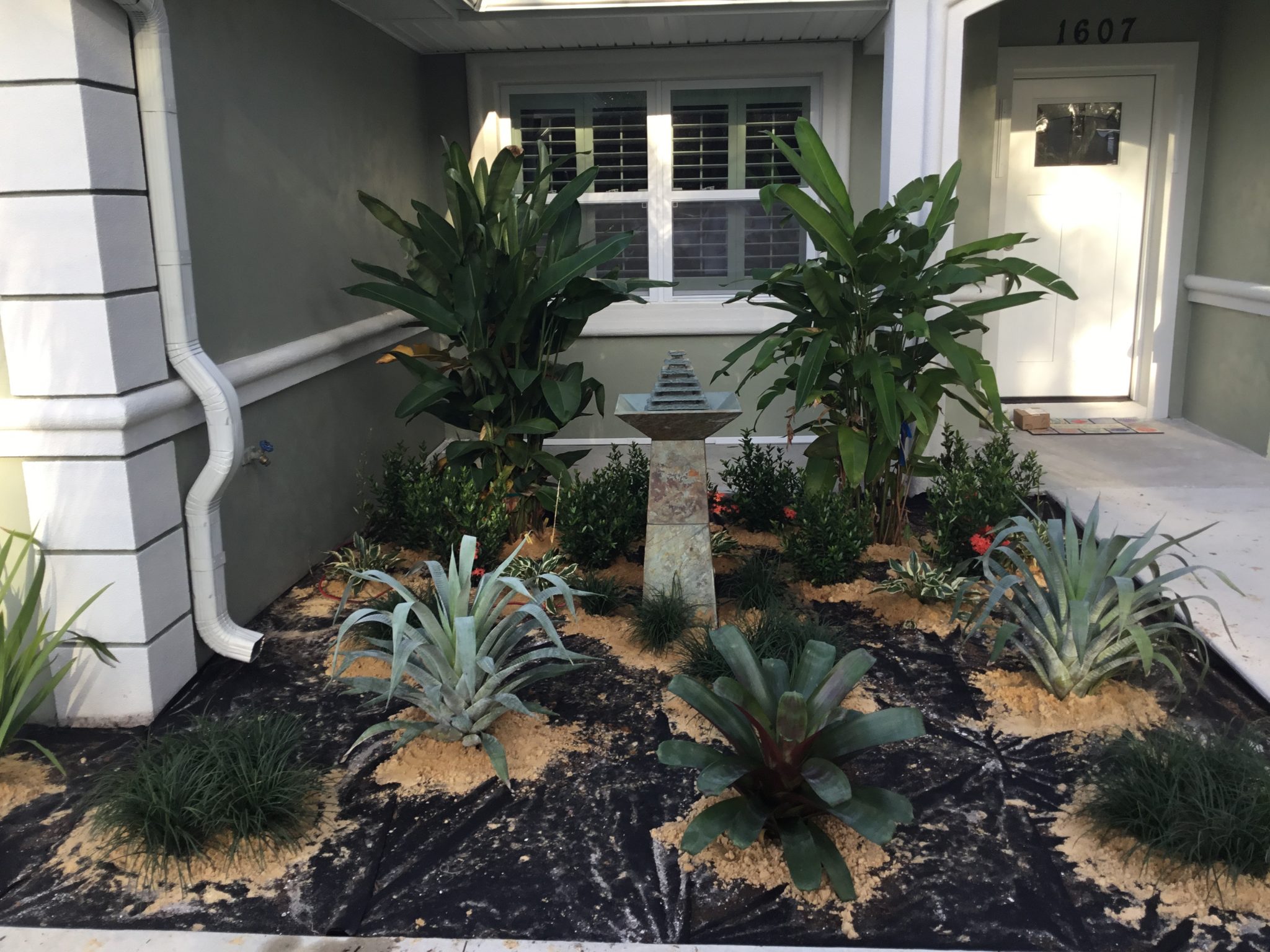 Exotic Landscape Design | Right Plant in the Right Place | Florida Friendly