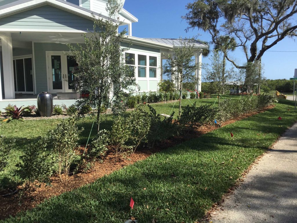 Landscape Designers Landscapers New Smyrna Beach