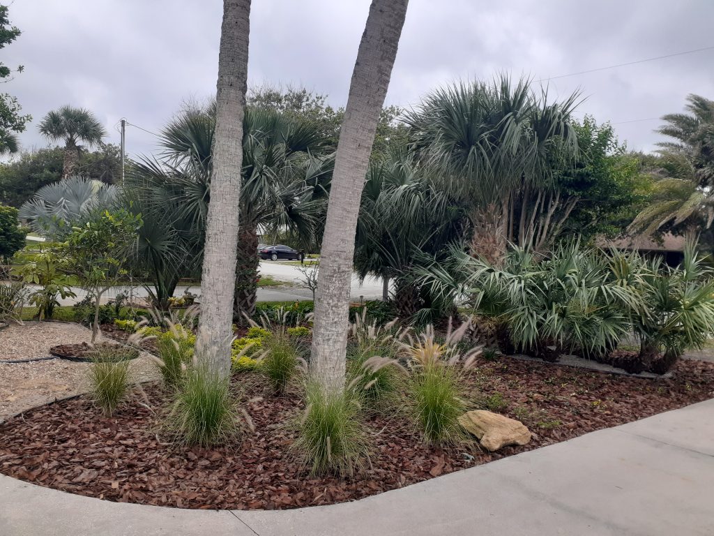 Landscape Designers | Landscapers New Smyrna Beach