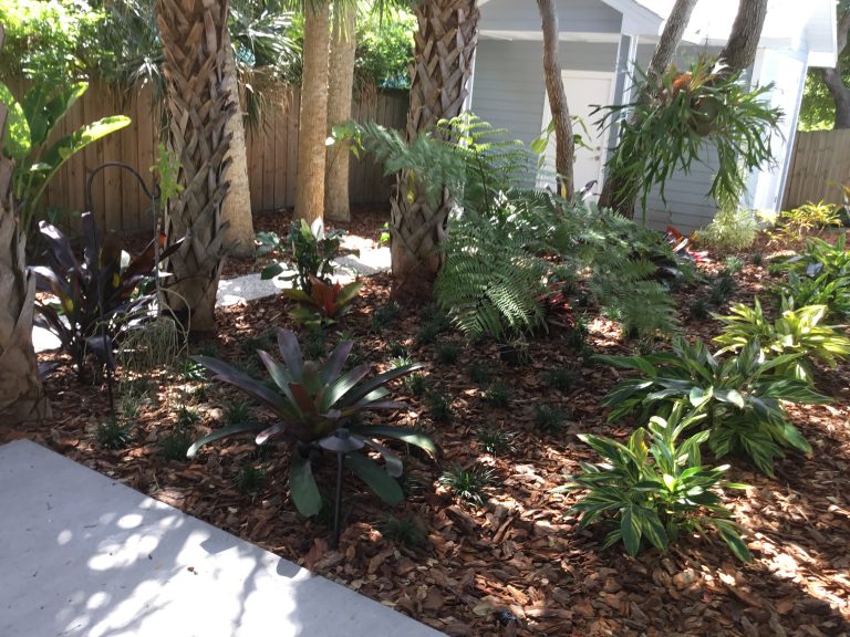 Beacon St BackYard-East-Resort StyleTropical Landscaping-Final