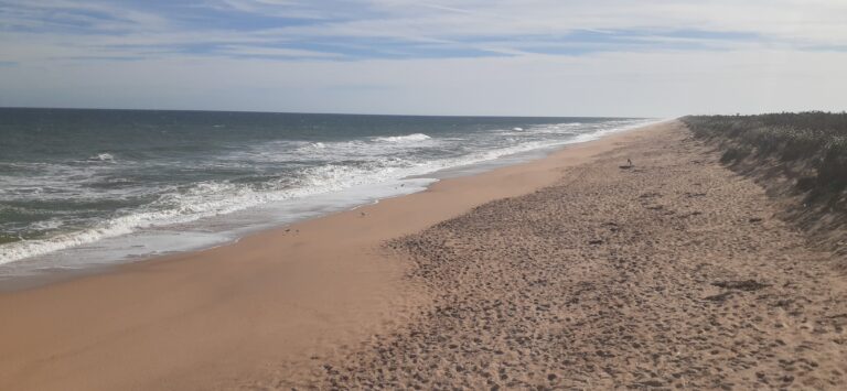 Canaveral Seashore