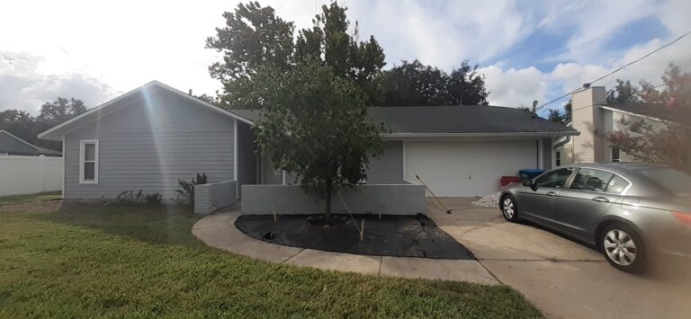 Transplanted Bottlebrush