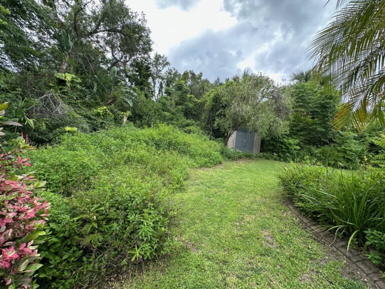 Moon Rise Clean up 4