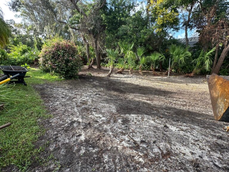 515 Moon Rise After Clean up 1