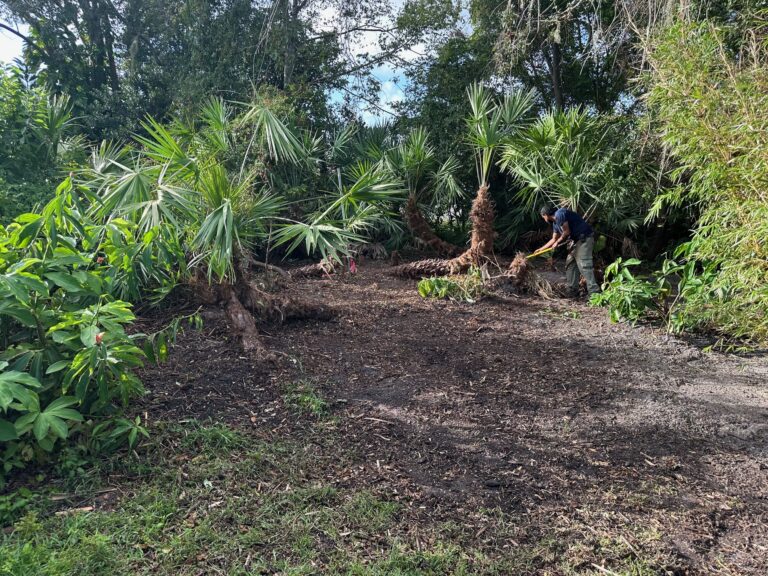 515 Moon Rise After Clean up 4