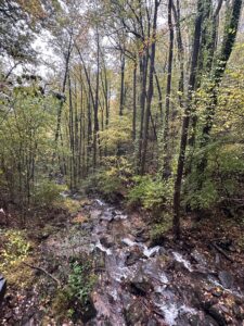 Fall colors 4 Water fall 2