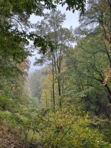 Fall colors 6 Change of Season