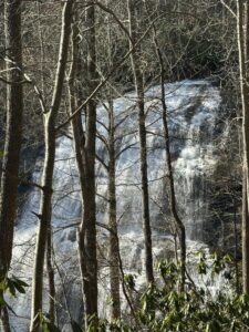 Glenn Falls behind Trees