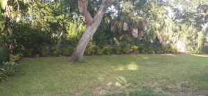 Edgewater on Magnolia Backyard