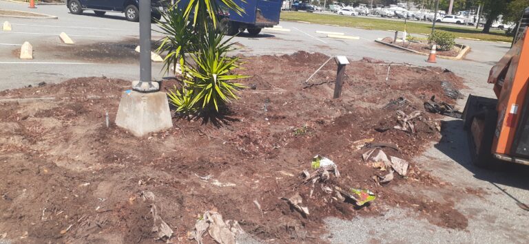 Sacred Heart Parking Area - Buried Trash